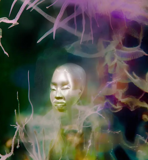 Une exposition entre onirisme et science-fiction à Rennes : matter gone wild #2